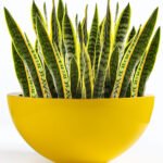 fiber-saksi-bilun